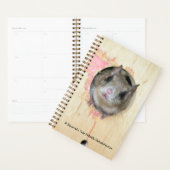 Kleine planner (Display)