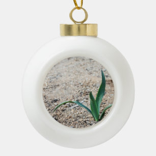 Kleine Plant Keramische Bal Ornament