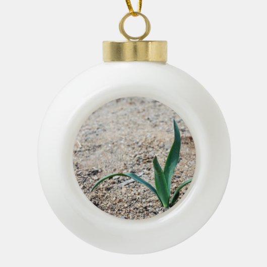 Kleine Plant Keramische Bal Ornament (Voorkant)