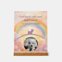 Kleine Pluizige Hond Regenboogbrug Gedenkteken Acr