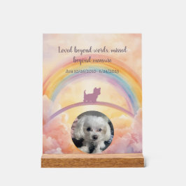 Kleine Pluizige Hond Regenboogbrug Gedenkteken Acr Acryl Bord