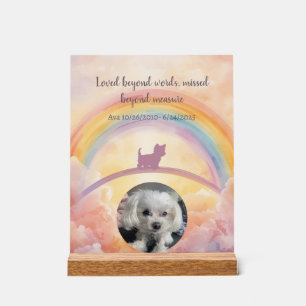 Kleine Pluizige Hond Regenboogbrug Gedenkteken Acr Acryl Bord