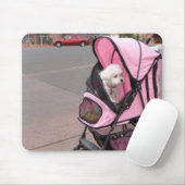 Kleine poedel in een doggie stroller, op een slijm muismat (Met muis)