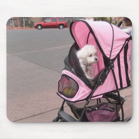 Kleine poedel in een doggie stroller, op een slijm muismat (Voorkant)