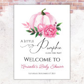 Kleine Pompoen Blush Roze Herfst Rustiek Baby show Poster