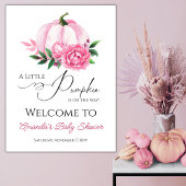 Kleine Pompoen Blush Roze Herfst Rustiek Baby show Poster