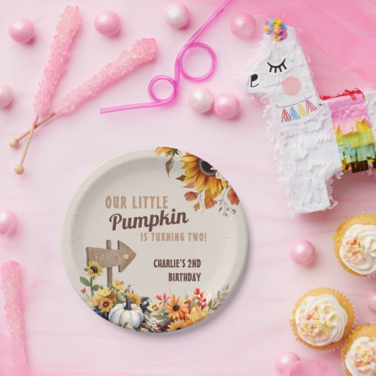 Kleine pompoen Boerderij Verjaardag Papieren Bordje (Feest)