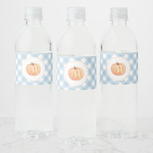 Kleine pompoen pastelblauw geruit eerste verjaarda waterfles etiket