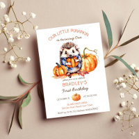 Kleine pompoen schattige egel pompoenen verjaardag