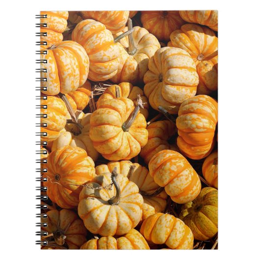 kleine pompoenen in stapel notitieboek (Voorkant)
