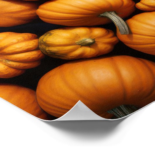 Kleine pompoenen voor Halloween Poster (Hoek)