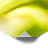 Kleine pompspin poster (Hoek)