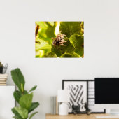 Kleine pompspin poster (Thuiskantoor)