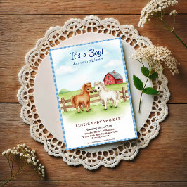 Kleine Pony Baby Jongen Shower Gingham Uitnodiging