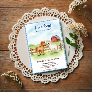 Kleine Pony Baby Jongen Shower Gingham Uitnodiging