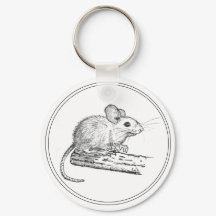 Kleine Potlood Muis