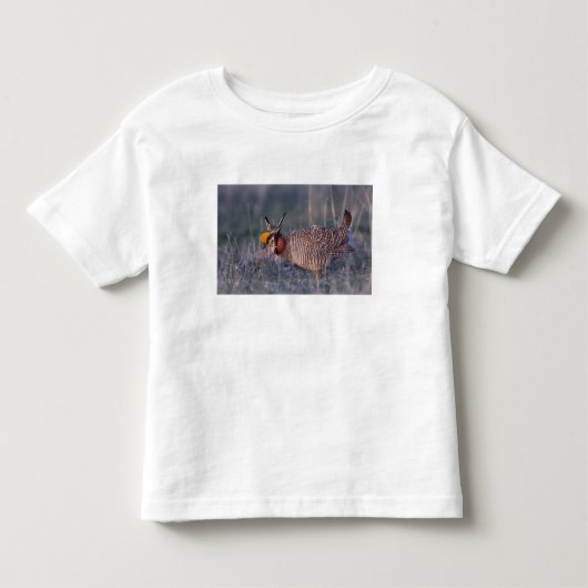 Kleine Prairiehoen, Tympanuchus Kinder Shirts (Voorkant)