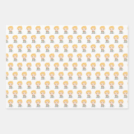 Kleine prins inpakpapier vel