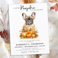 Kleine Pumpkin Schattige Puppy Eenvoudige Herfst B