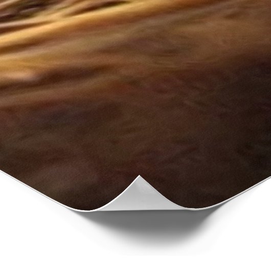 Kleine puppy donkerbruin en wit poster (Hoek)