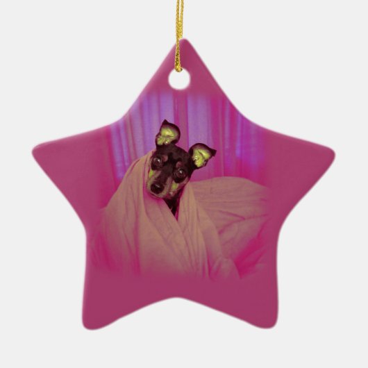 Kleine puppy keramisch ornament (Voorkant)