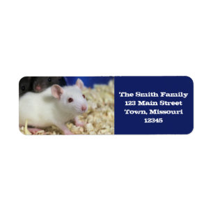 Kleine rat etiket