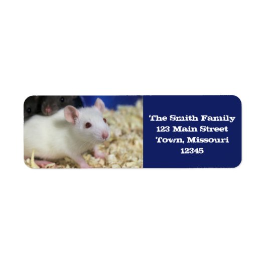 Kleine rat etiket (Voorkant)