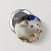 Kleine rat ronde button 5,7 cm (Voorkant /achterkant)