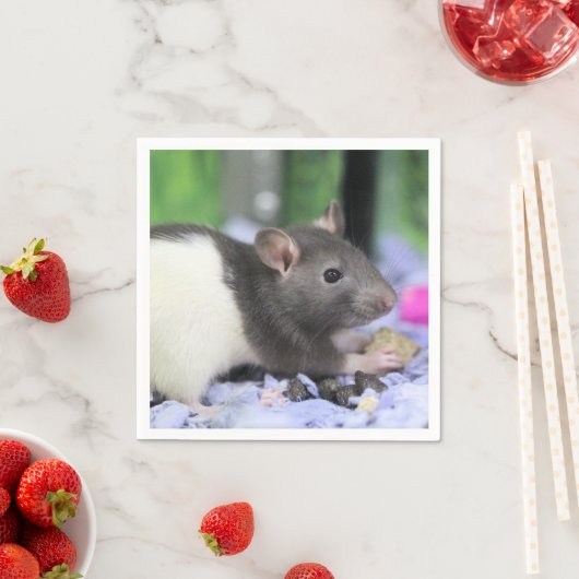 Kleine rat servet (Insitu)