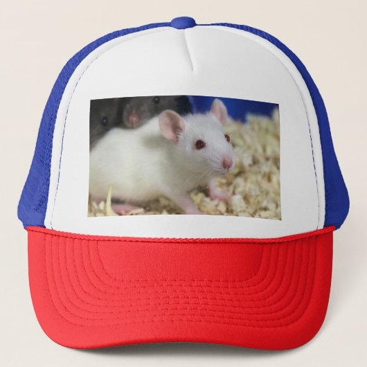 Kleine rat trucker pet (Voorkant)