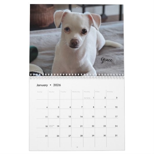 Kleine reddingshonden 12-maands kalender (Jan 2026)