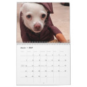 Kleine reddingshonden 12-maands kalender (Mar 2027)