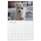Kleine reddingshonden 12-maands kalender (Jan 2027)