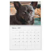 Kleine reddingshonden 12-maands kalender (Feb 2027)