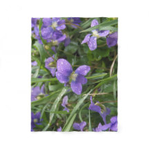 Kleine regenjestriettas