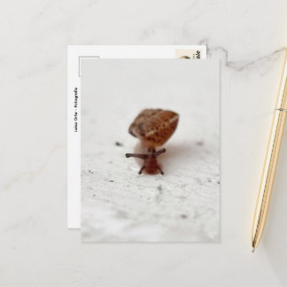 Kleine Reise – Schnecke auf hellem Grund Briefkaart