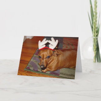 Kleine rendiervis feestdagen kaart