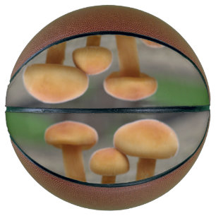 Kleine reukstools Macro Basketballen