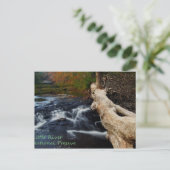 Kleine rivier briefkaart (Staand voorkant)