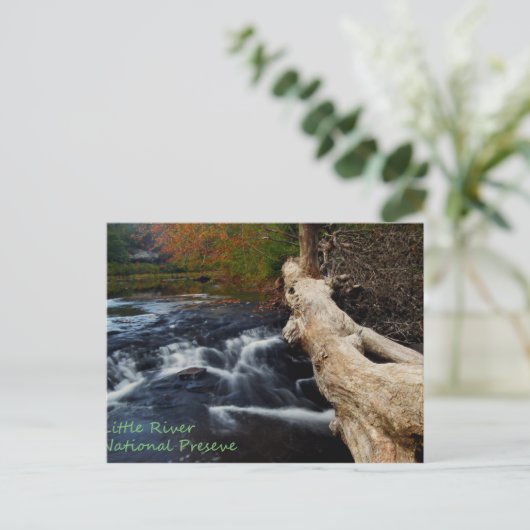 Kleine rivier briefkaart (Staand voorkant)