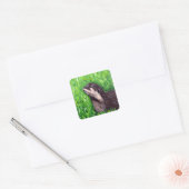 Kleine rivierotter Schilderij Vierkante Sticker (Envelop)