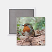 Kleine Robin Magnet (Voorkant / Achterkant)