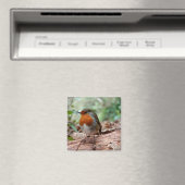 Kleine Robin Magnet (Insitu (Vaatwasser))