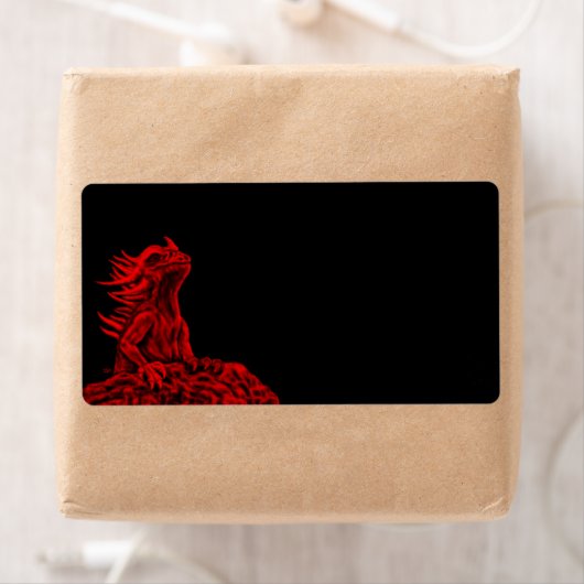 Kleine rode draak etiket (Insitu)