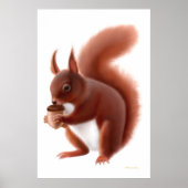 Kleine rode eekhoorn afdrukken poster (Voorkant)