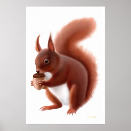 Kleine rode eekhoorn afdrukken poster (Voorkant)