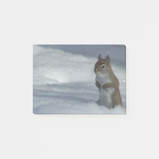 Kleine rode eekhoorn post-it® notes (Voorkant)