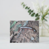 Kleine rode en zilveren centipede die op de bodem  briefkaart (Staand voorkant)