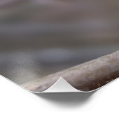 kleine rode knoppen poster (Hoek)