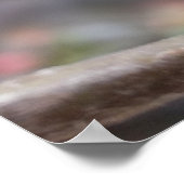 kleine rode knoppen poster (Hoek)